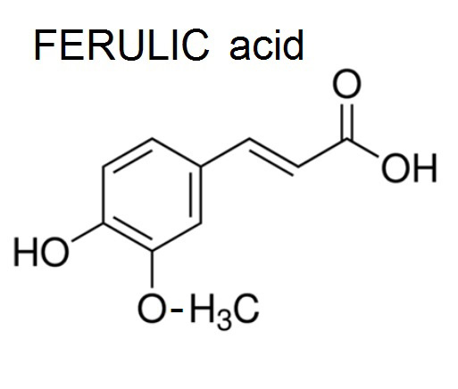 ferulic acid ferulic acid
